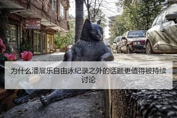 wei-shen-me-pan-zhan-le-zi-you-yong-ji-lu-zhi-wai-de-hua-ti-geng-zhi-de-bei-chi-xu-tao-lun-2-582.jpg